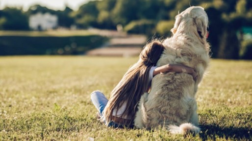 Cómo decirle adiós a una mascota? ❤️ 7 consejos para despedirlo